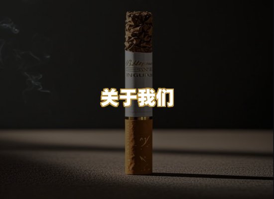 关于我们